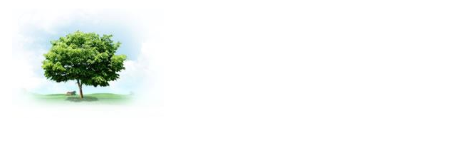 2015090114420682682.png